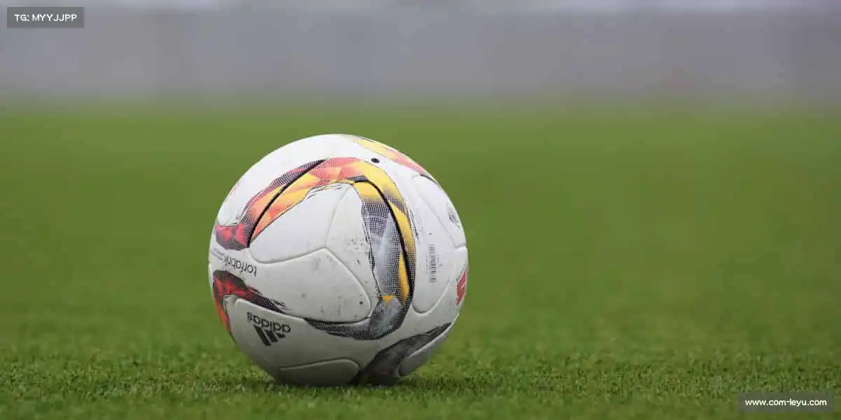 乐鱼官网——🥌冰壶推移，谋定乾坤！